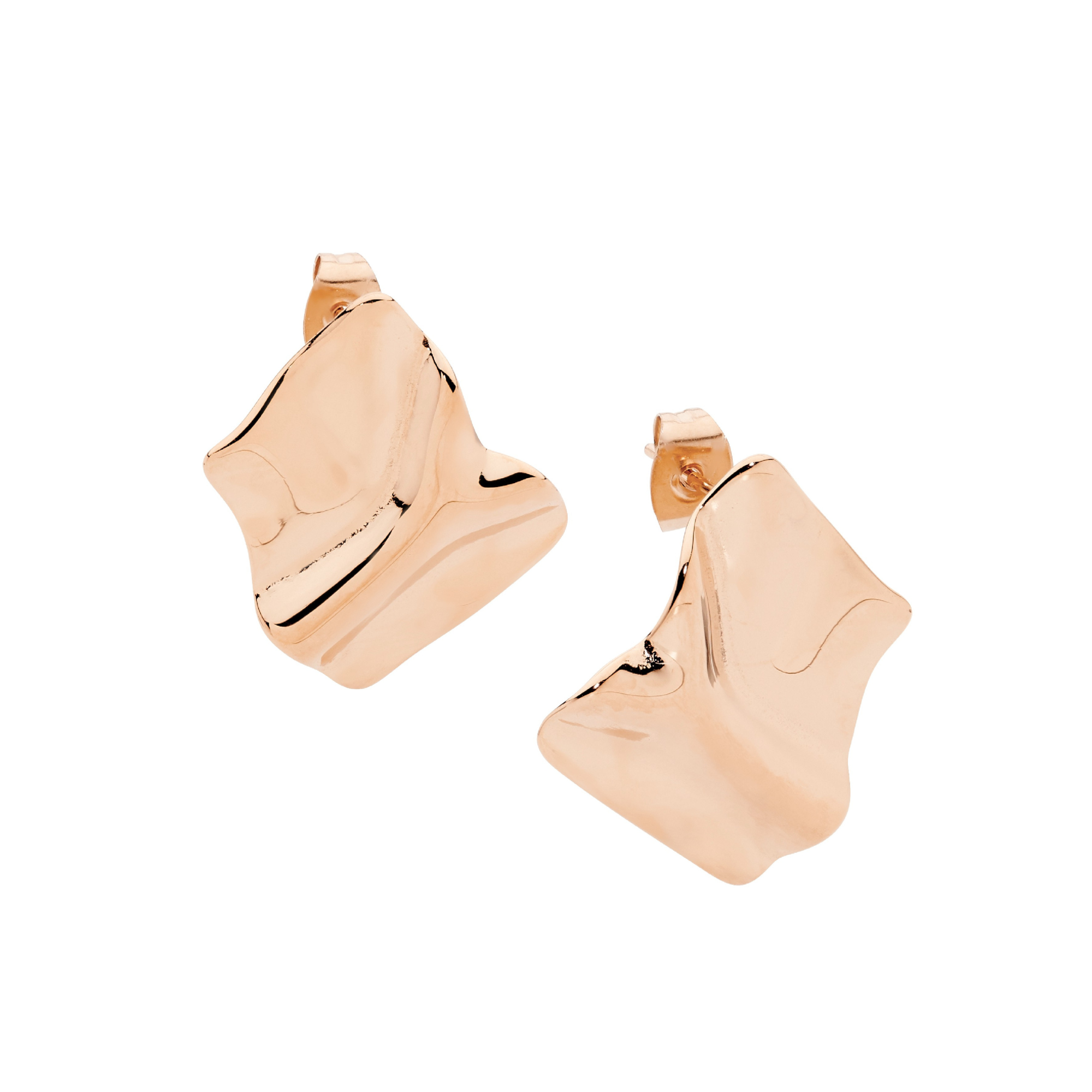 Stainless Steel Earrings